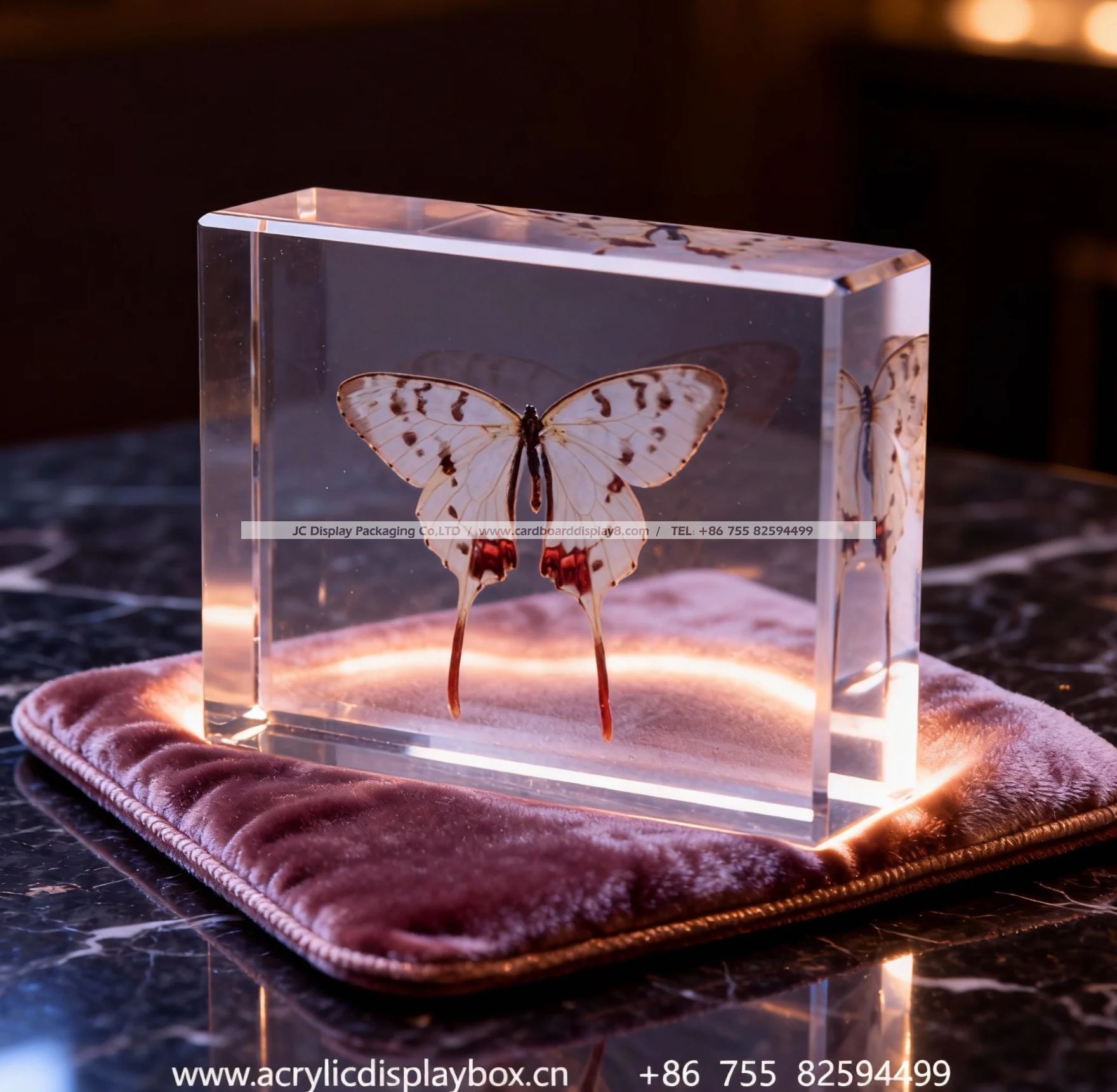 亚克力标本展示块（蝴蝶标本）